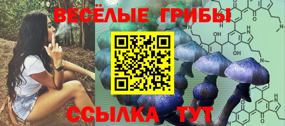 Партизанск  Псилоцибиновые грибы Magic Shrooms  Псилоцибиновые грибы Cubensis  Вход с VPN 